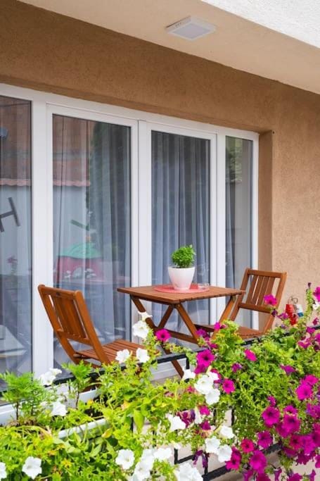 Rron's House Apartment in North Macedonia