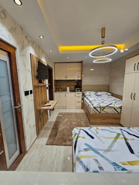 Bed, Living room, Photo of the whole room