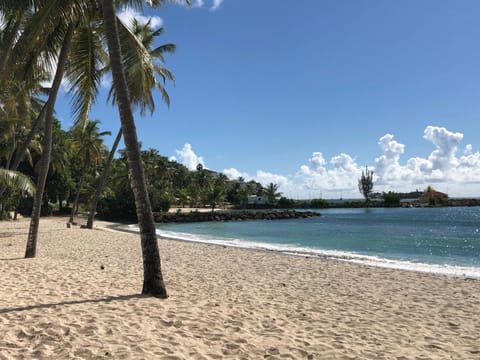 Nearby landmark, Natural landscape, Beach, Sea view, Public Bath