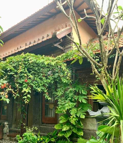 Property building, Spring, Day, Garden, Garden view
