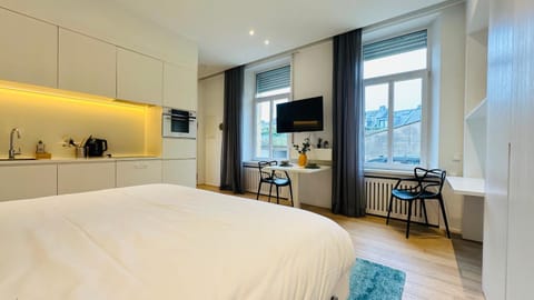 Studio Fischer à la Pétrusse 002 Apartment in Luxembourg