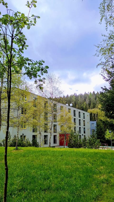 Property building, Natural landscape, Garden