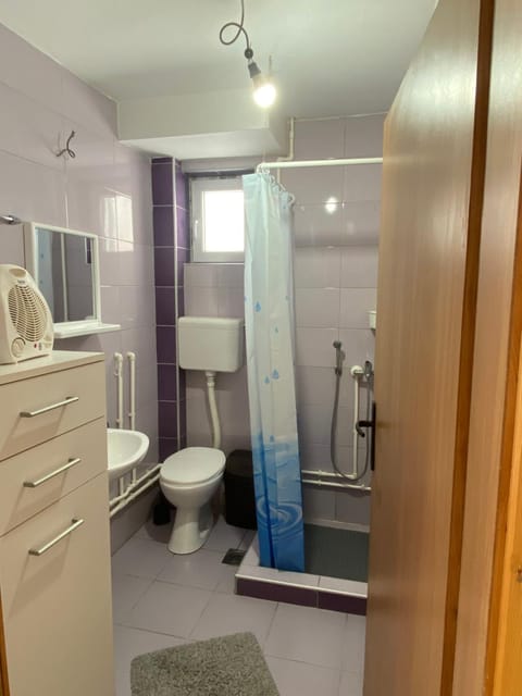 BiSER PANČIĆA House in Zlatibor District, Serbia