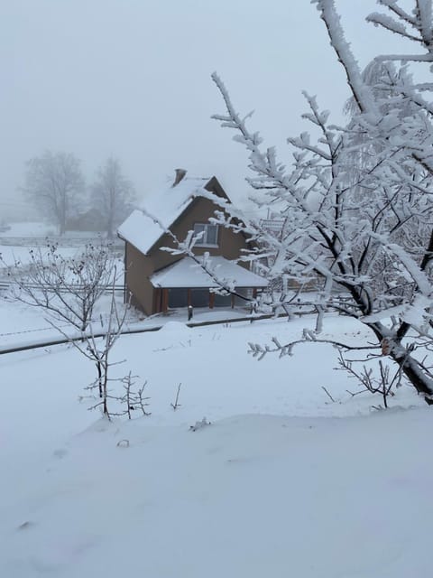 BiSER PANČIĆA House in Zlatibor District, Serbia