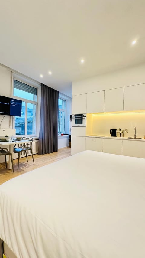 Studio Fischer à la Pétrusse 001 Apartment in Luxembourg