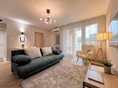 Living room, air conditioner