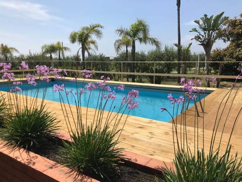Garden, Garden view, Pool view, Swimming pool