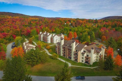 Snow Mountain Village 13F Apartment in Dover