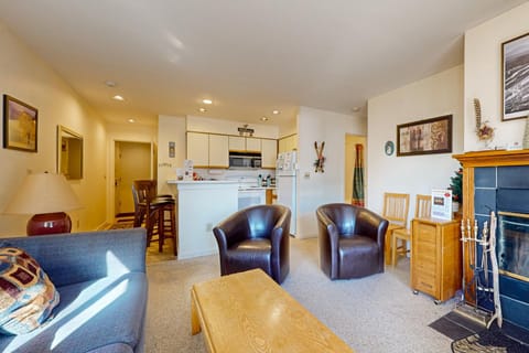 Snow Mountain Village 13A Apartment in Dover