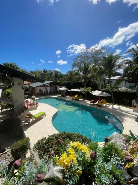 Garden view, Pool view, Swimming pool