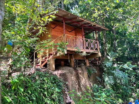 Property building, Garden, Balcony/Terrace, Garden view