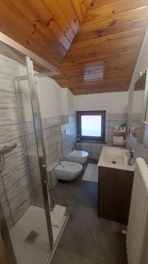 Shower, Toilet, Bathroom, bidet