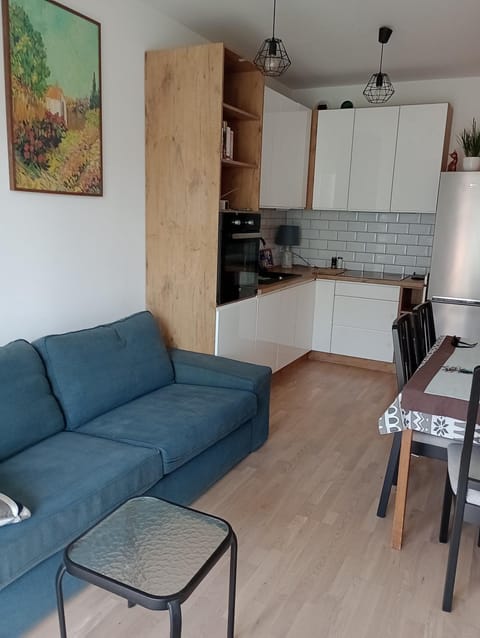 Pokoje nad Radunią Apartment in Pomeranian Voivodeship