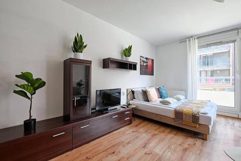 Communal lounge/ TV room, Bed, TV and multimedia, Living room, Photo of the whole room, Seating area, Evening entertainment, Bedroom