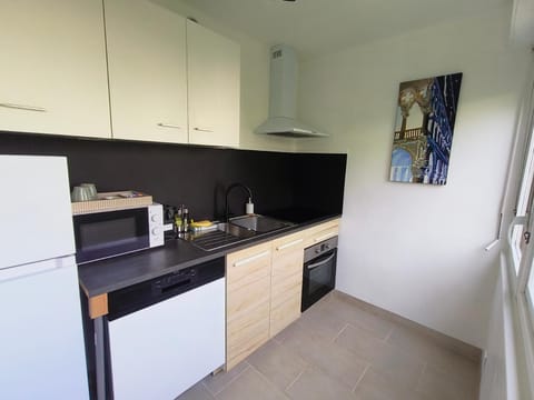 Kitchen or kitchenette, dishwasher, oven, stove