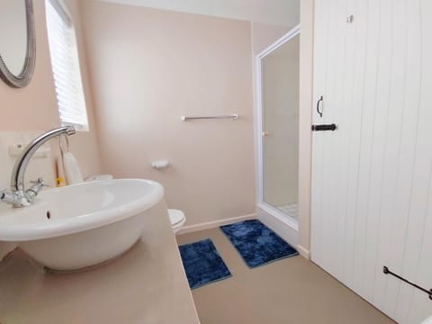 Shower, Toilet, Bathroom, Bath