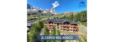 Il Cervo nel Bosco Apartment in Breuil-Cervinia