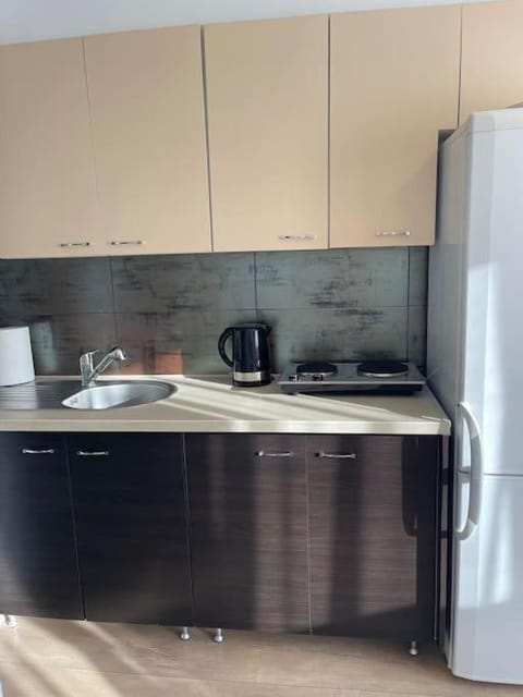 Olivier Apartment Apartment in Serbia