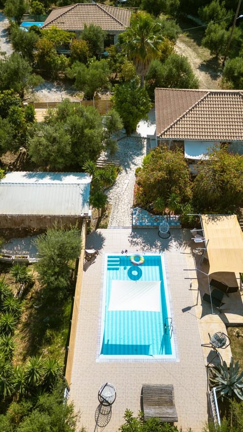 Swimming pool, sunbed