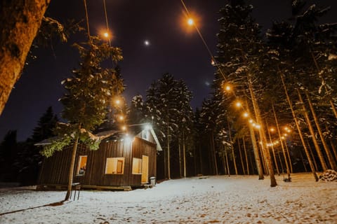 Property building, Night, Winter
