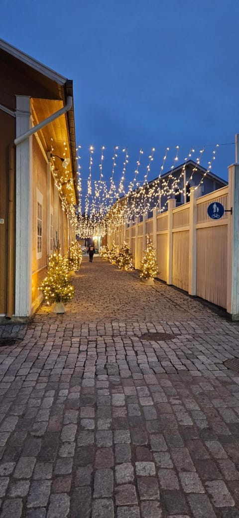 Ilona Vanha Rauma Apartment in Finland