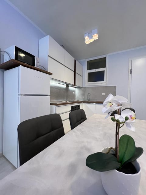 Appartamento Il Maestrale Apartment in Viareggio