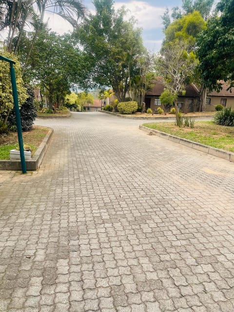 Day, Neighbourhood, Natural landscape, Street view