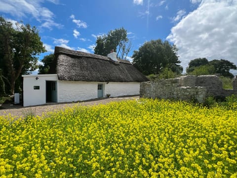Property building, Spring, Day, Garden, Garden view