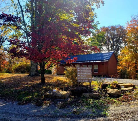 Property building, Day, Autumn, Garden view