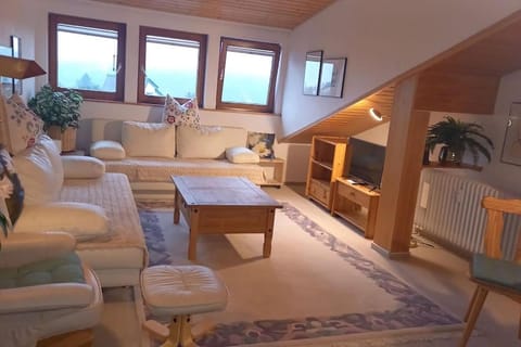 Living room, Photo of the whole room