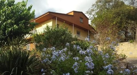 Property building, Day, Garden, Garden view