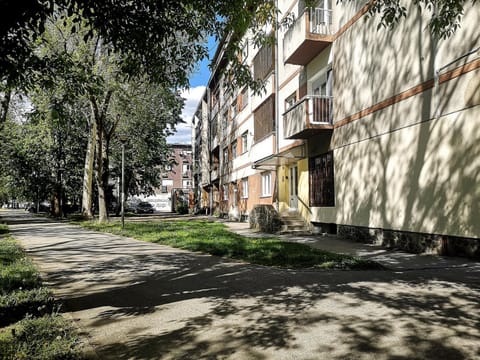 Property building, Day, Neighbourhood, Natural landscape, Street view