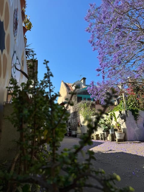 Property building, Day, Garden view