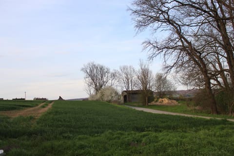 Spring, Natural landscape