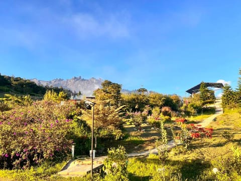 Natural landscape