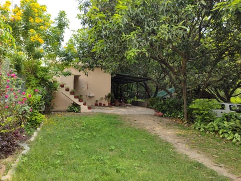 Garden, Garden view
