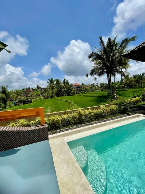 Garden, Garden view, Pool view, Swimming pool, sunbed