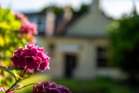 Historic Cottage Escape Near St Andrews House in Scotland