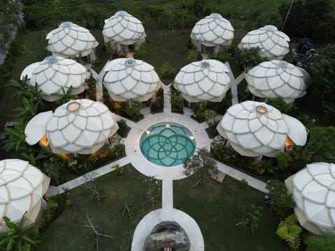 Property building, Bird's eye view