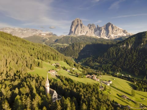 Apartments Emilia Apartment in Santa Cristina Gherdëina