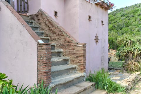 Agriturismo Amandolo Farm Stay in Tuscany