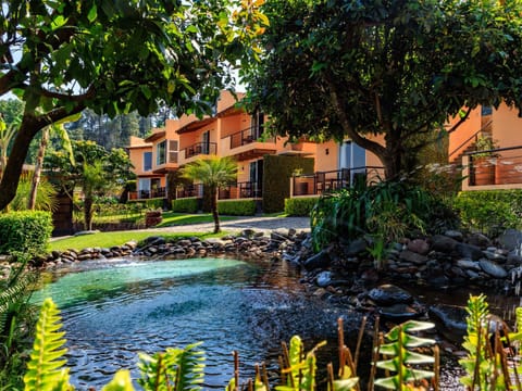 Natural landscape, Garden