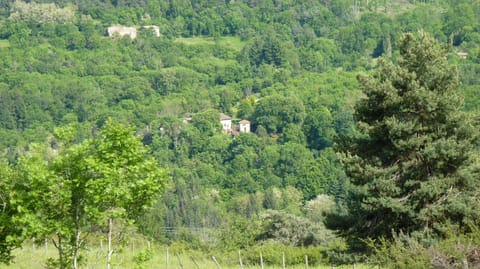 Natural landscape
