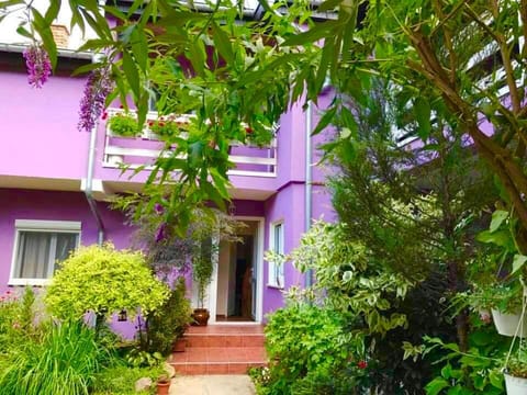 Apartman BAHUS Vrdnik Apartment in Vojvodina