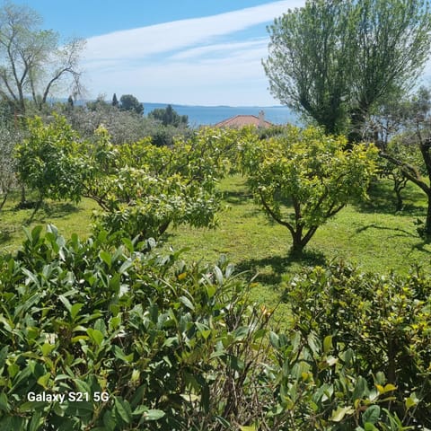 Apartment Green Oasis Apartment in Split