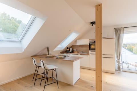Kitchen or kitchenette, kitchen