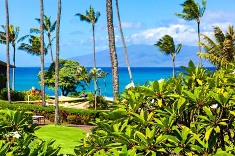 Napili Shores B211 Apartment in Kapalua