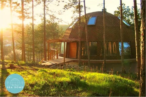 Property building, Natural landscape, Garden, Garden view, Sunset