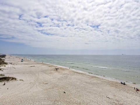 Black Pearl House in Alabama