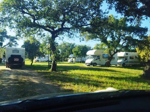 Neighbourhood, Natural landscape, Garden, Garden view, Parking